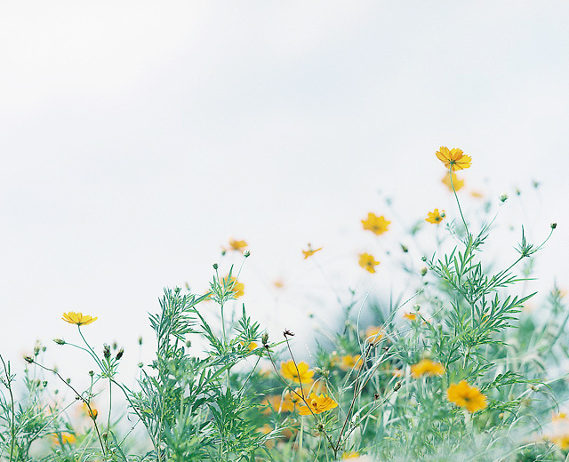 很多人 不需要再见