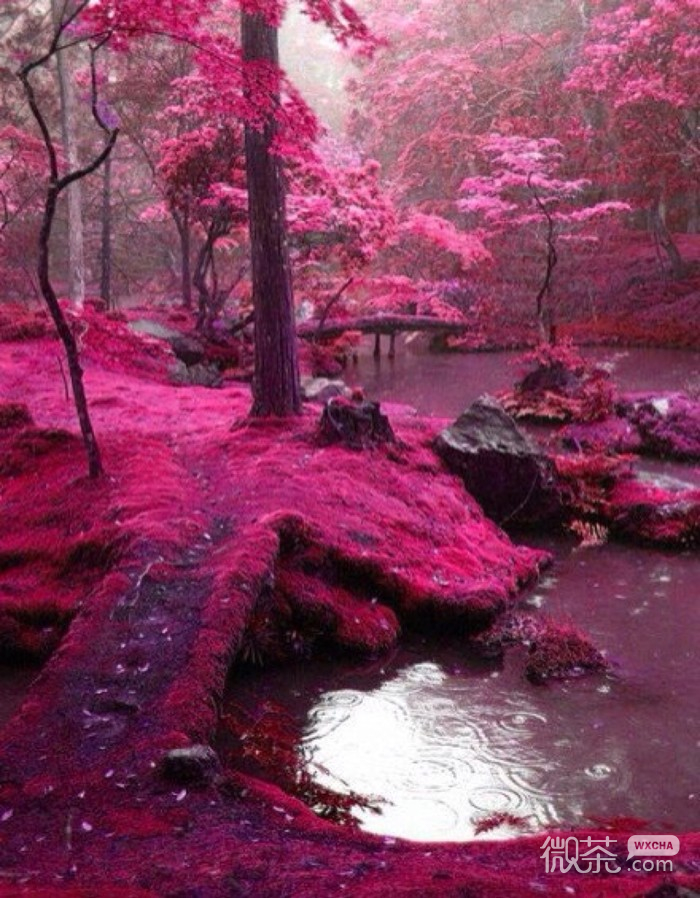 你是我遇过最美的风景