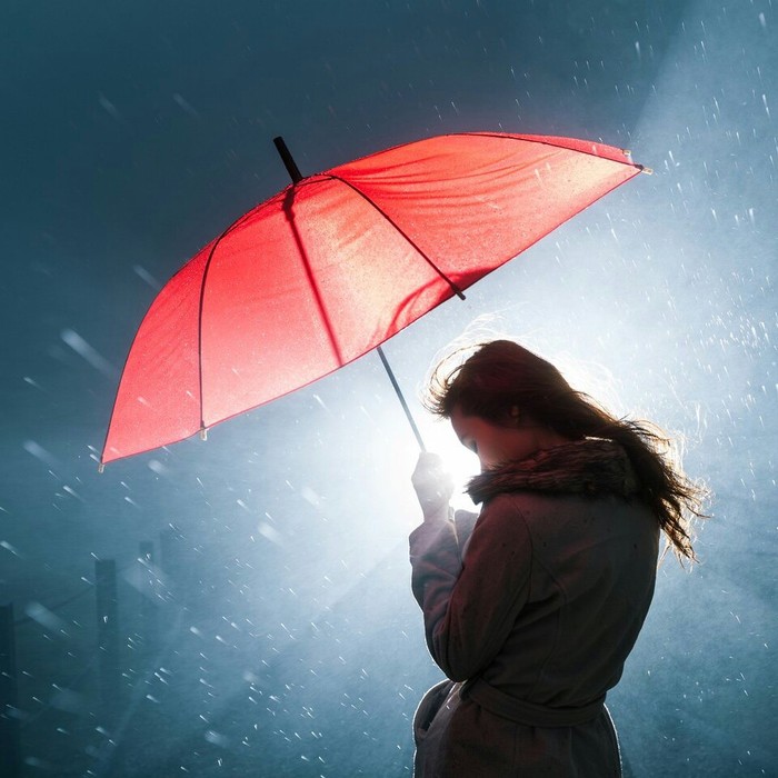 岂曰无衣 与子同袍