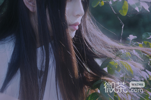 微信小清新青春伤感lomo清新美女