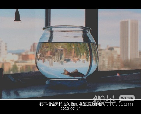 世界那么大 想要的只有你