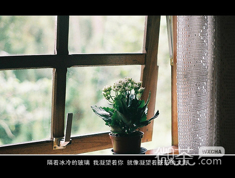 世界那么大 想要的只有你