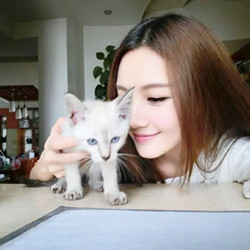 头像女生高清240 240以上的 太理智的人总是爱退缩