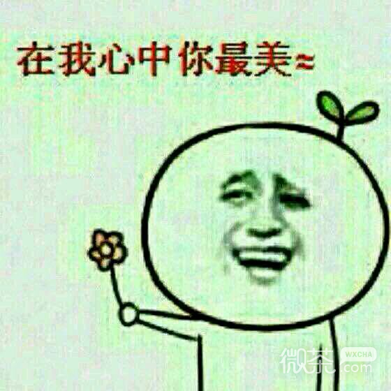 呐，花花送给你表情包下载，送你一把小花！