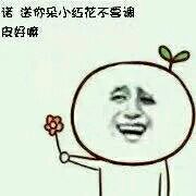 呐，花花送给你表情包下载，送你一把小花！