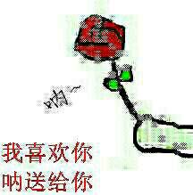 呐，花花送给你表情包下载，送你一把小花！