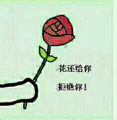 呐，花花送给你表情包下载，送你一把小花！