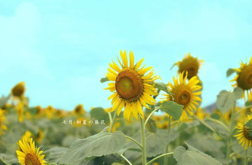 微信相册封面图片唯美治愈系 我的回忆丢了不敢捡