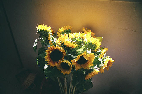 微信相册封面图片唯美治愈系 我的回忆丢了不敢捡