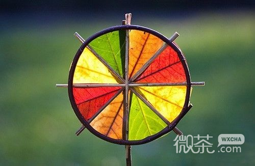 春天绿色小清新图片  与你一起共沐春风