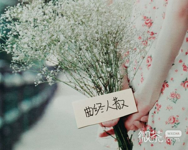 手绘图片带字微信伤感配图图片 远方的你