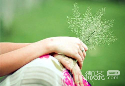 春天绿色小清新图片  与你一起共沐春风