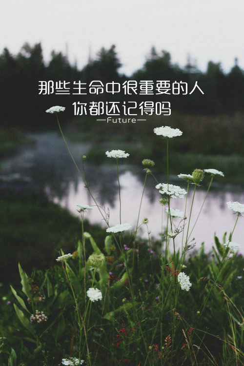励志微信图片  带字唯美风景