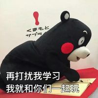 斗图聊天文字表情包图片大全  然而鲁迅早就看穿了这一切