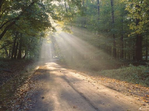 高清唯美风景图片大全壁纸2016  我努力忘记可是爱情怎么喊停