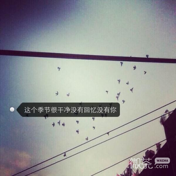 唯美伤感微信朋友圈配图  与景诉心事