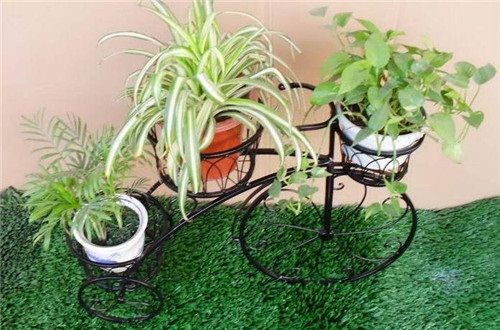 唯美的微信图片  冷眼看这世情滕蔓纠结不清