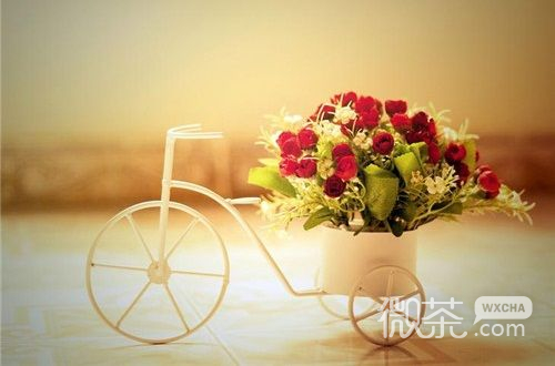 唯美的微信图片  冷眼看这世情滕蔓纠结不清