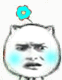 猥琐猫一朵小花微信表情GIF  暴走猥琐猫搞笑表情