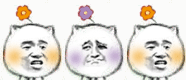 猥琐猫一朵小花微信表情GIF  暴走猥琐猫搞笑表情