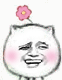 猥琐猫一朵小花微信表情GIF  暴走猥琐猫搞笑表情