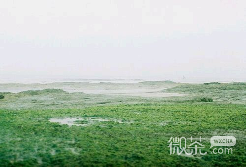 小清新微信图片  择一城终老，遇一人白首