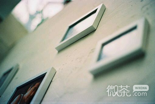 小清新微信图片  择一城终老，遇一人白首