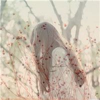 女生微信唯美伤感双重曝光头像  那么我们就到这