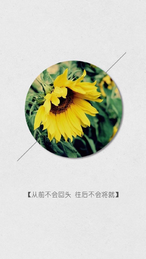 微信经典文字配图  从前不会回头,往后不会将就