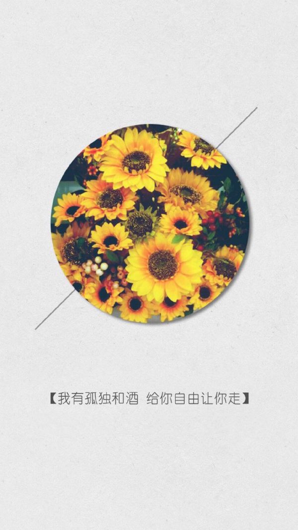 微信经典文字配图  从前不会回头,往后不会将就