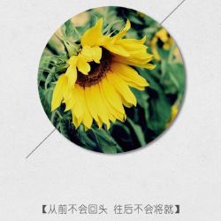 微信经典文字配图  从前不会回头,往后不会将就