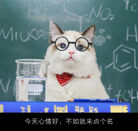 超萌的喵老师课堂微信图片带字 你喜欢这样的小猫咪吗