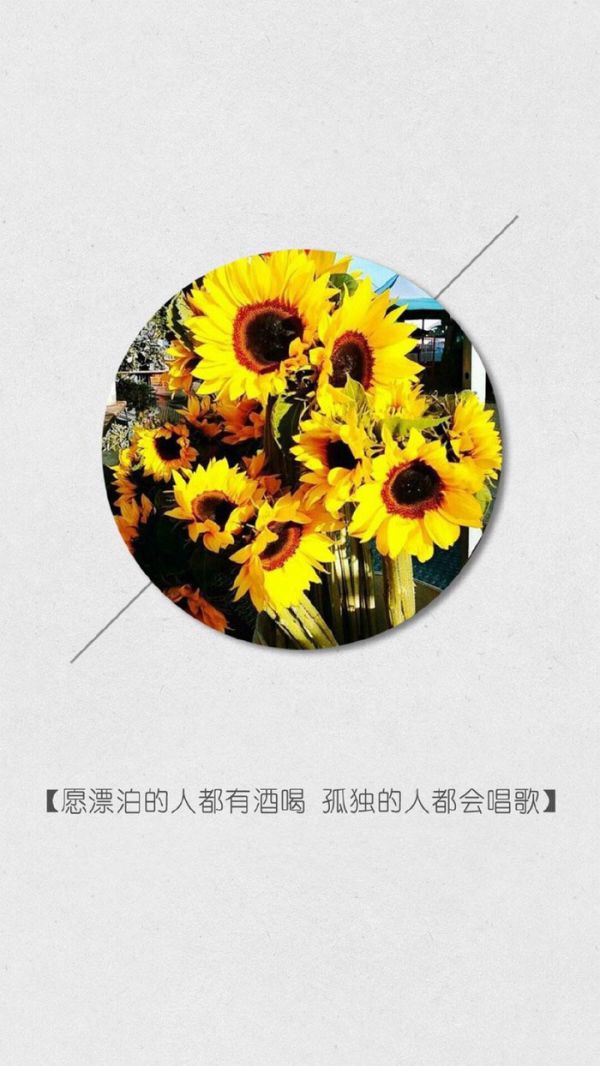 微信经典文字配图  从前不会回头,往后不会将就