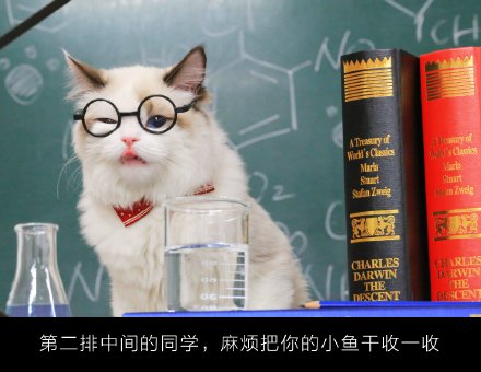 超萌的喵老师课堂微信图片带字 你喜欢这样的小猫咪吗