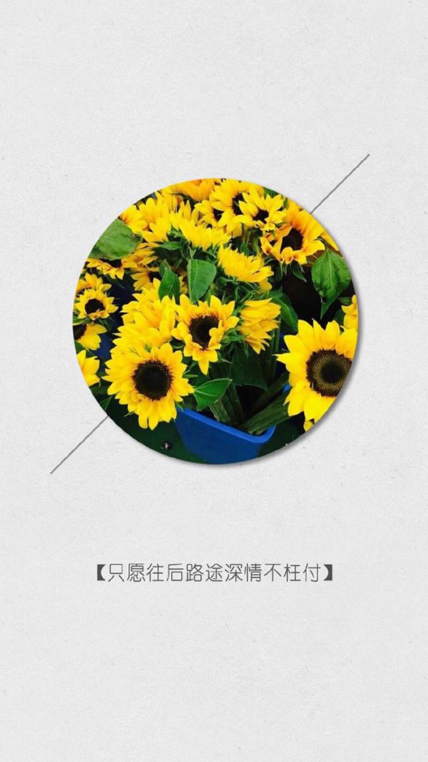 微信经典文字配图  从前不会回头,往后不会将就