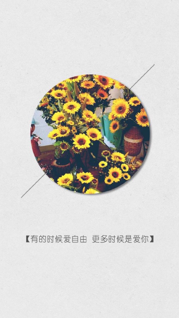 微信经典文字配图  从前不会回头,往后不会将就