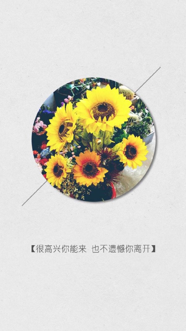 微信经典文字配图  从前不会回头,往后不会将就