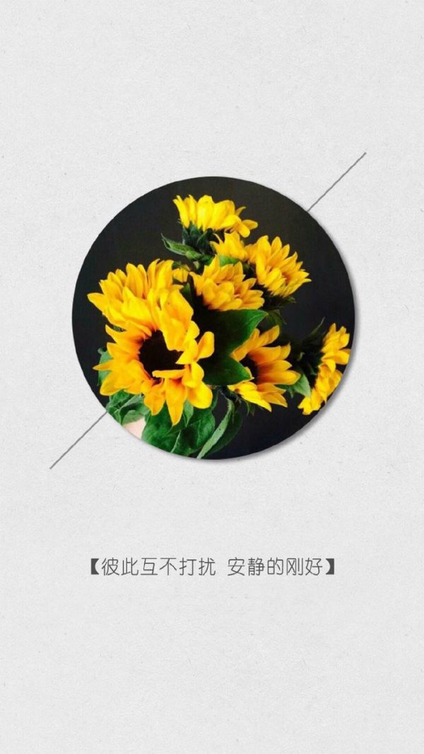 微信经典文字配图  从前不会回头,往后不会将就