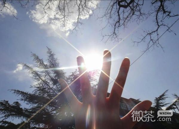 微信唯美图片  送你阳光，愿你的世界都是晴天
