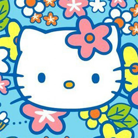 hello kitty精美可爱微信卡通头像近百张