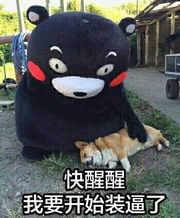 金馆长群聊必备的装逼表情合集  充电五分钟，装逼两小时