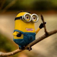 小黄人微信头像合集  呆萌小黄人、搞笑搞怪小黄人、大眼睛小黄人