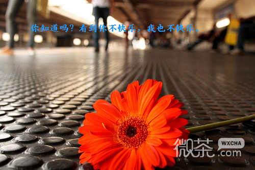 非主流意境伤感文字图片最新  我微笑着和你说再见
