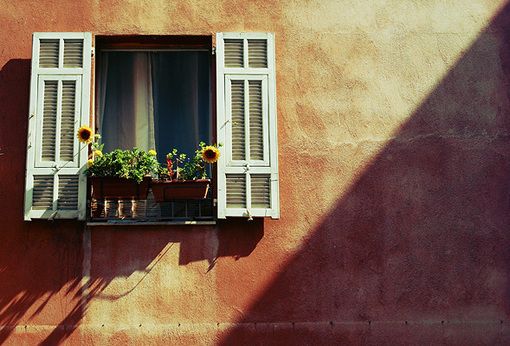 唯美小清新风景图片  那年有花开在我的窗前