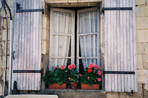 唯美小清新风景图片  那年有花开在我的窗前