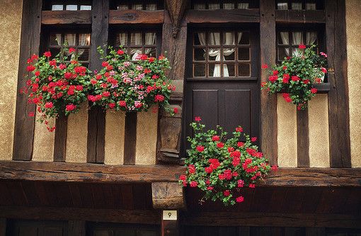 唯美小清新风景图片  那年有花开在我的窗前