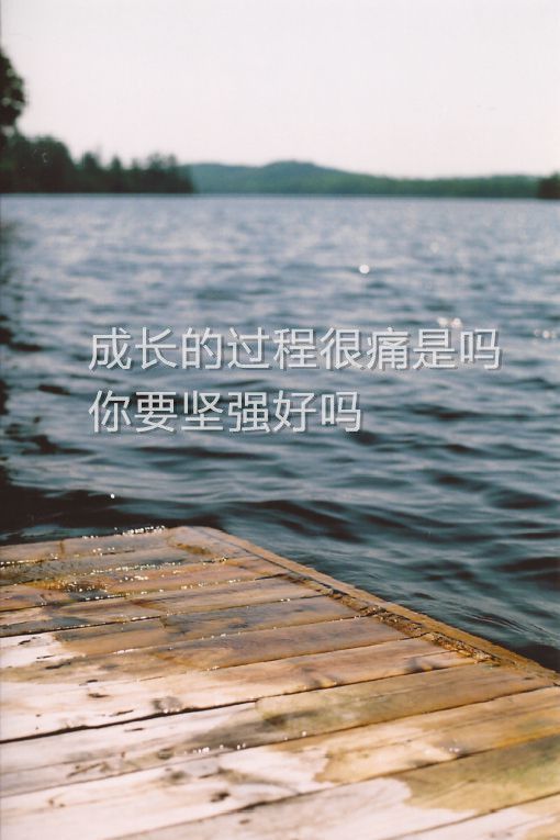 伤感文字图片精选  杯子易碎人心可谓