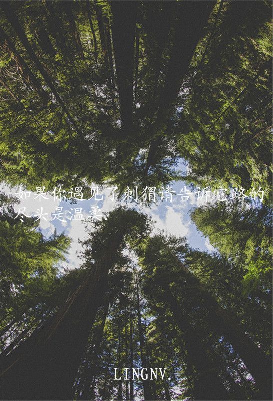 伤感文字图片精选  杯子易碎人心可谓