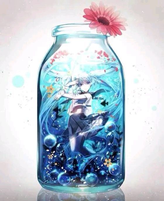 瓶子里的世界很安静