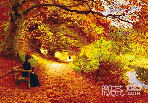 微信Lomo落叶图片大全  叶落知秋寒